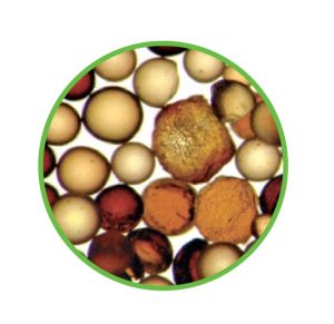 АЛЬТСОФТ ЭКО